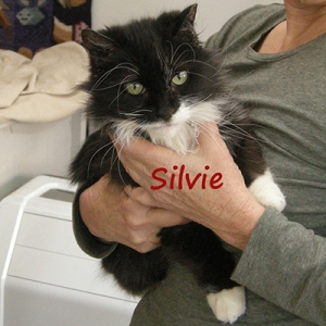 Silvie 400