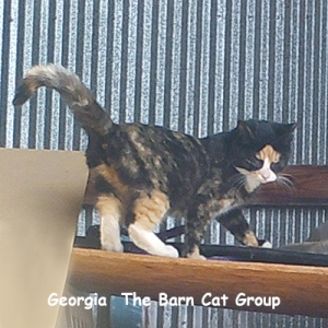 Georgia