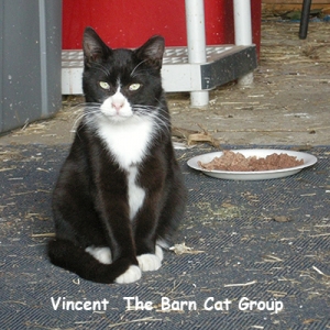 Vincent Caption