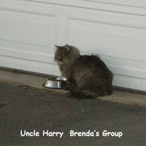 BG-Uncle-Harry