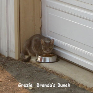 BG-grezie
