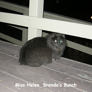 BG-ms-helen