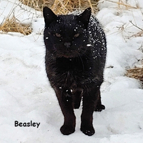 SU-Beasly