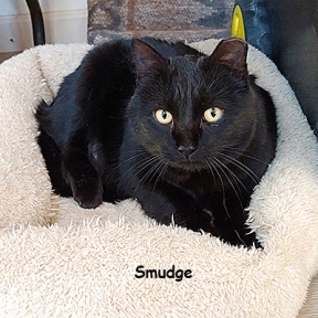 SU-SMUDGE