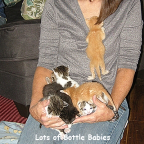 SU-leslie-babies4