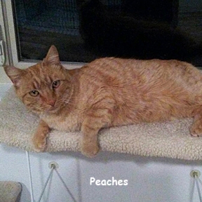 SU-peaches