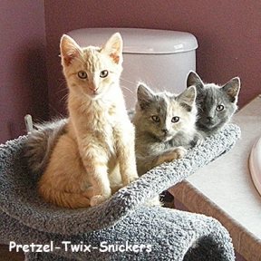 SU-pretzal-twix-snickers